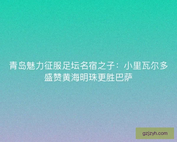 青岛魅力征服足坛名宿之子：小里瓦尔多盛赞黄海明珠更胜巴萨