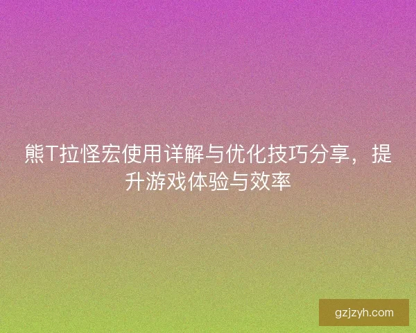 熊T拉怪宏使用详解与优化技巧分享，提升游戏体验与效率