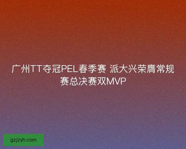 广州TT夺冠PEL春季赛 派大兴荣膺常规赛总决赛双MVP